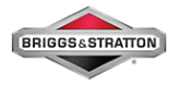 Briggs & Stratton