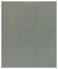 Brusilni list C355
