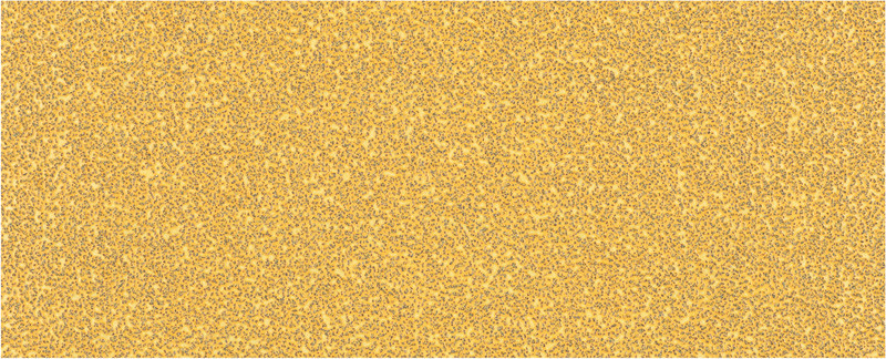 EXPERT C470 brusni papir brez lukenj za ekscentrične brusilnike, 93 x 230 mm, G 40 10 kosov