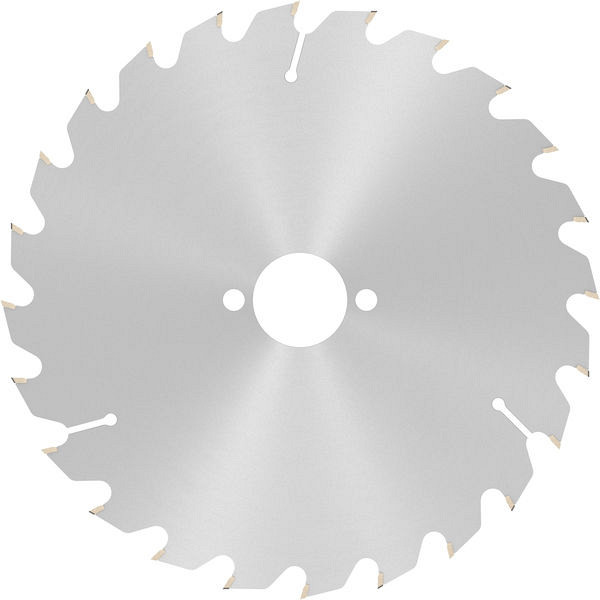 List za krožno žago PRO Wood, 190 x 2 x 30 mm, T24
