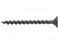 Slika izdelka: Hitromontažni vijaki PH2 na traku 3,9 x 55 mm