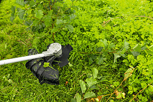 PRO Rezilo kosilnice za podrast, 25 cm, 4T