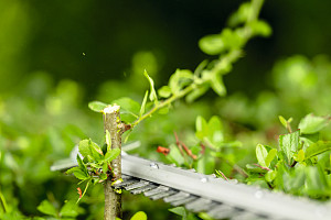 Akumulatorske škarje za živo mejo GHE 18V-50FP