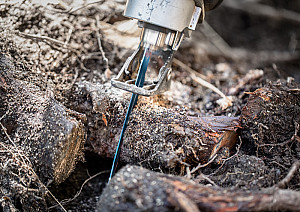List za sabljasto žago EXPERT ‘Tough Wood’ S 1242 KHM, posamično pakiranje