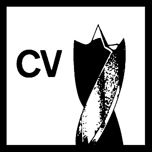 Standardni spiralni svedri za les