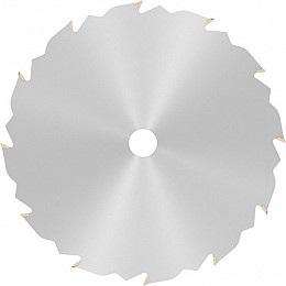 List za krožno žago PRO Wood, 160 x 2,2 x 16 mm, T12