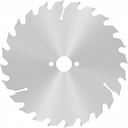List za krožno žago PRO Wood, 160 x 2,6 x 20 mm, T24