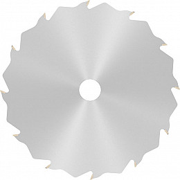 List za krožno žago PRO Wood, 165 x 1,7 x 20 mm, T12