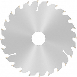List za krožno žago PRO Wood, 165 x 2,6 x 30 mm, T24
