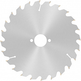 List za krožno žago PRO Wood, 190 x 2,6 x 30 mm, T24