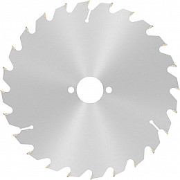 List za krožno žago PRO Wood, 200 x 2,8 x 30 mm, T24