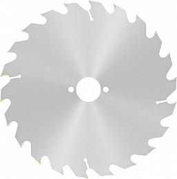 List za krožno žago PRO Wood, 216 x 2,6 x 30 mm, T22