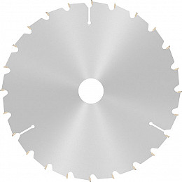 List za krožno žago PRO Wood, 216 x 2 x 30 mm, T24