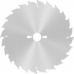 List za krožno žago PRO Wood, 254 x 2,8 x 30 mm, T24