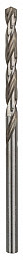 Sveder standardne dolžine PRO Metal HSS-G, 4 x 43 x 75 mm, 10 kosov